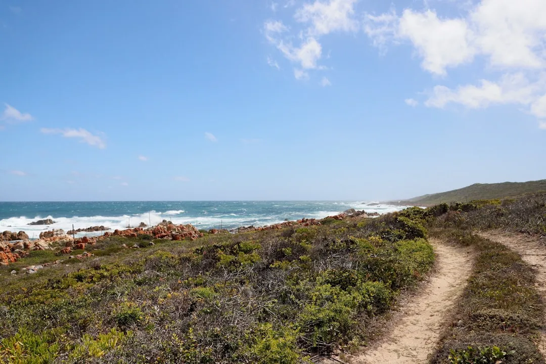a dirt path leading to the ocean on a sunny day